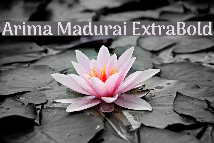 Arima Madurai ExtraBold Font examples