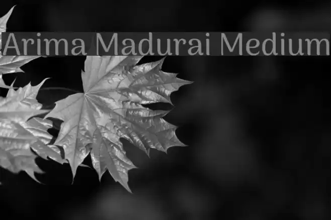 Arima Madurai Medium Font examples