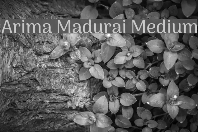 Arima Madurai Medium Font examples