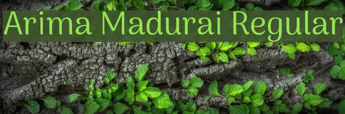 Arima Madurai Regular Font examples