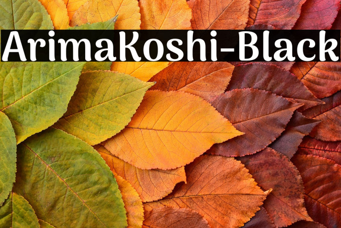 ArimaKoshi-Black Example 3