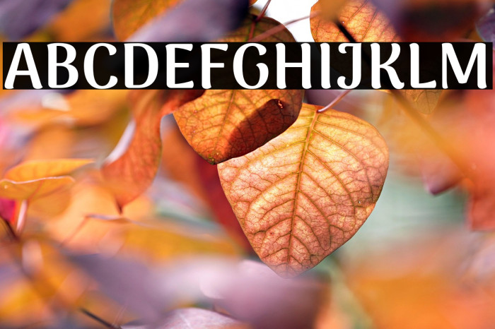 ArimaMadurai-Black Example 1