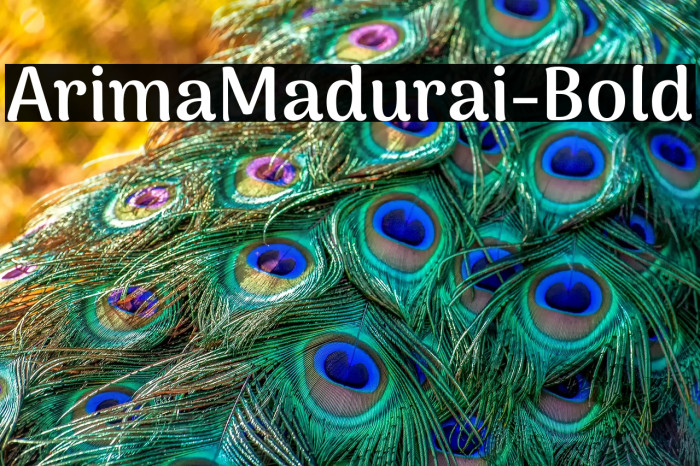ArimaMadurai-Bold Example 1