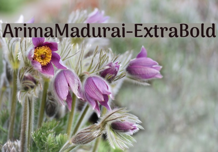 ArimaMadurai-ExtraBold Font examples