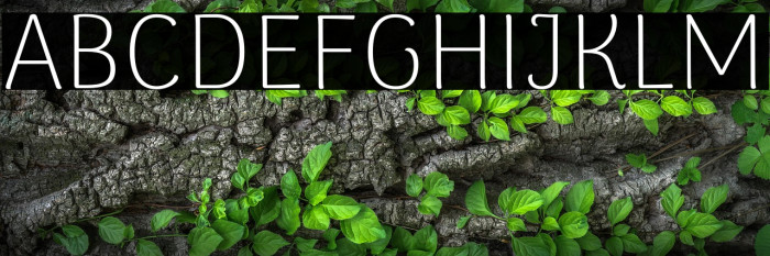 ArimaMadurai-ExtraLight Example 3