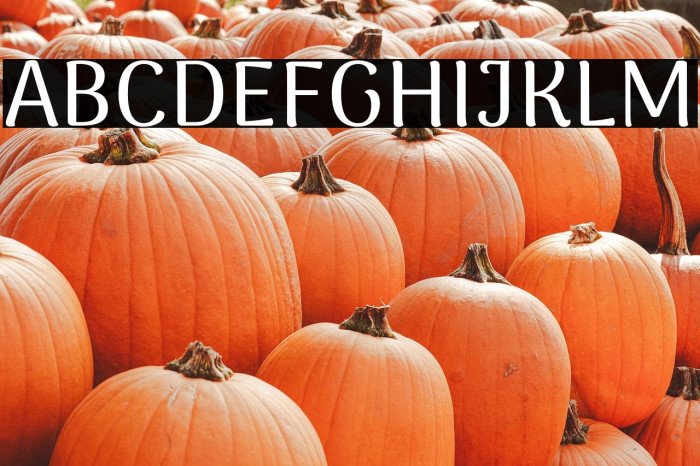 ArimaMadurai-Medium Example 2