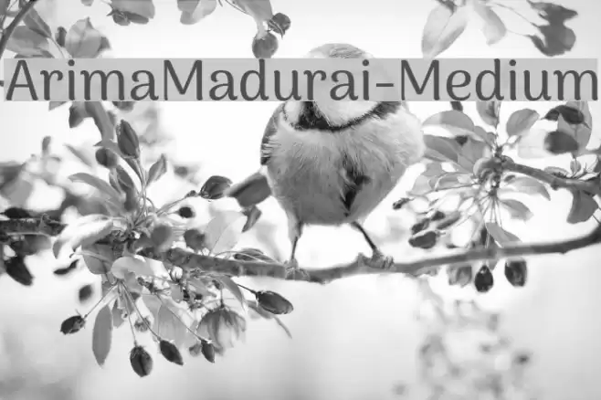 ArimaMadurai-Medium Font examples