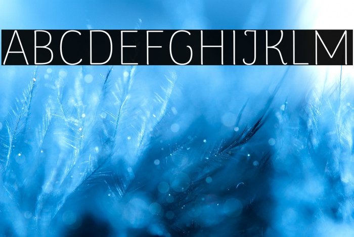 ArimaMadurai-Thin Example 3