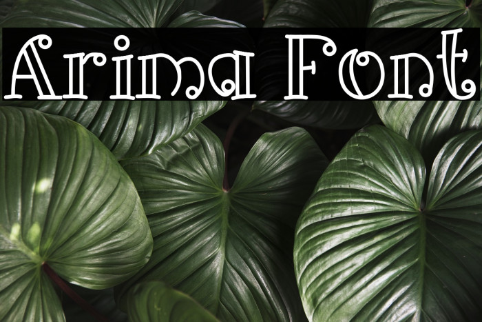 Arima Font examples