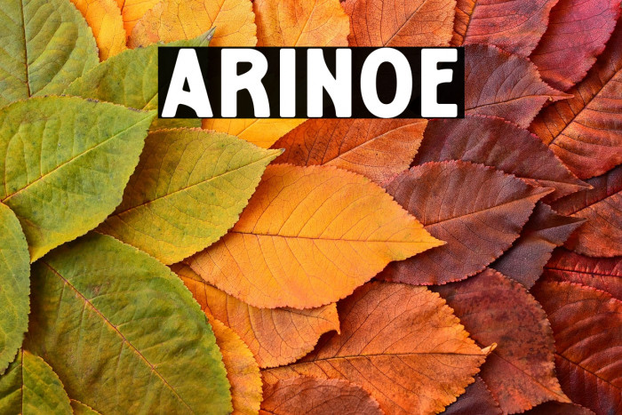Arinoe Example 1