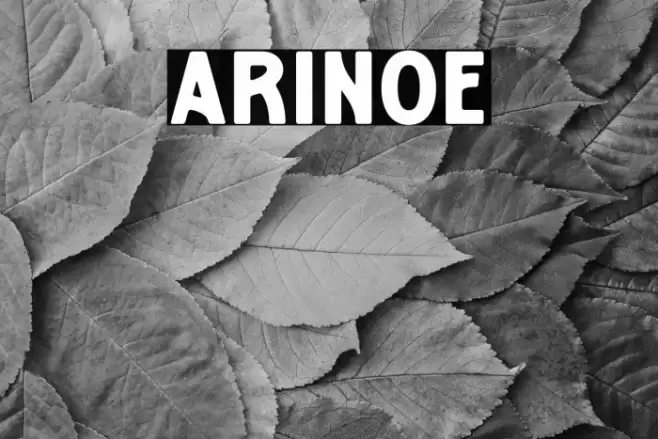 Arinoe Font examples