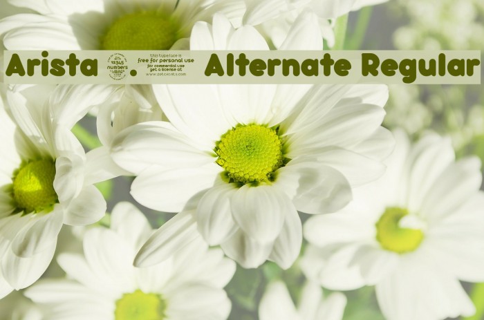 Arista 2.0 Alternate Regular Font examples