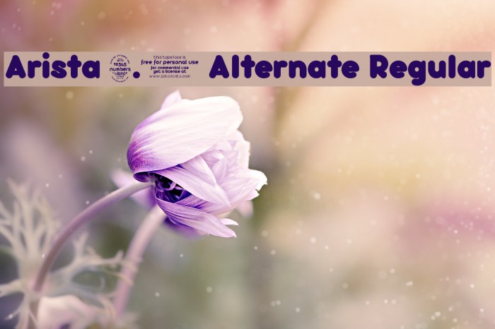 Arista 2.0 Alternate Regular Font examples