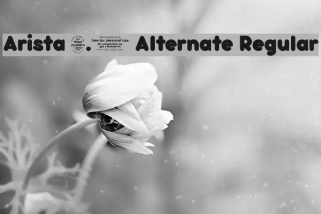 Arista 2.0 Alternate Regular Example 3