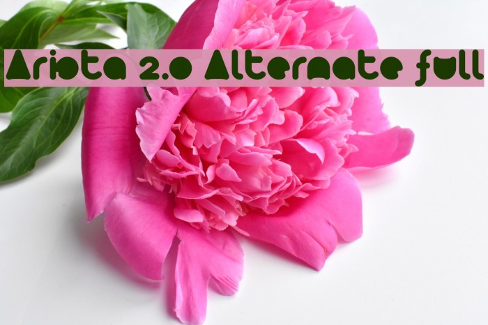 Arista 2.0 Alternate full Font examples