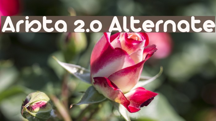 Arista 2.0 Alternate Font examples