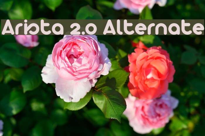 Arista 2.0 Alternate Font examples