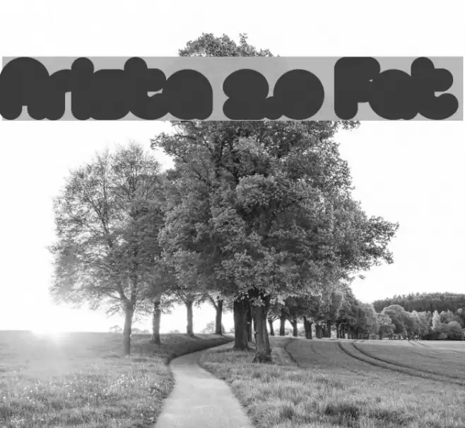 Arista 2.0 Fat Шрифта examples