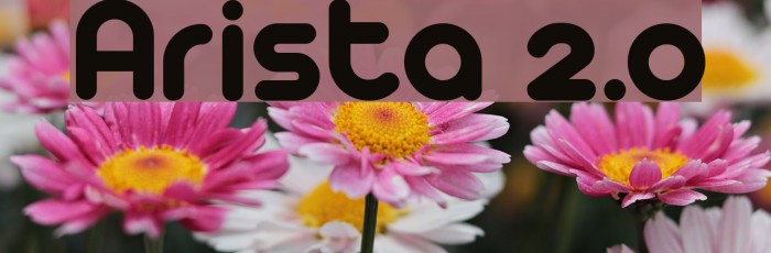 Arista 2.0 Font examples