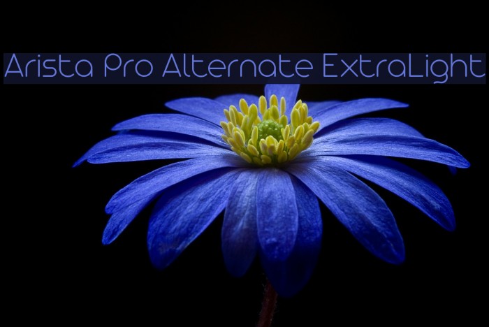 Arista Pro Alternate ExtraLight Font examples