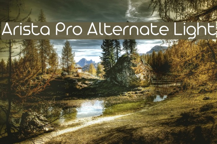 Arista Pro Alternate Light Example 2