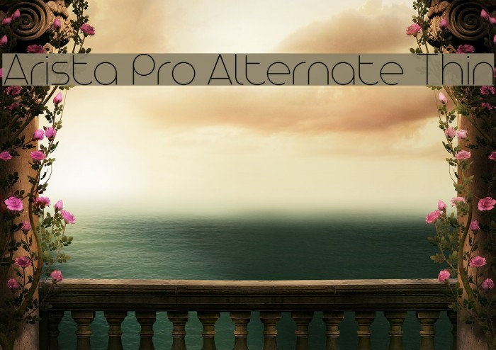 Arista Pro Alternate Thin Example 2