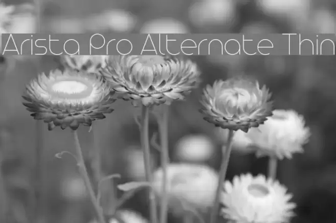 Arista Pro Alternate Thin Font examples