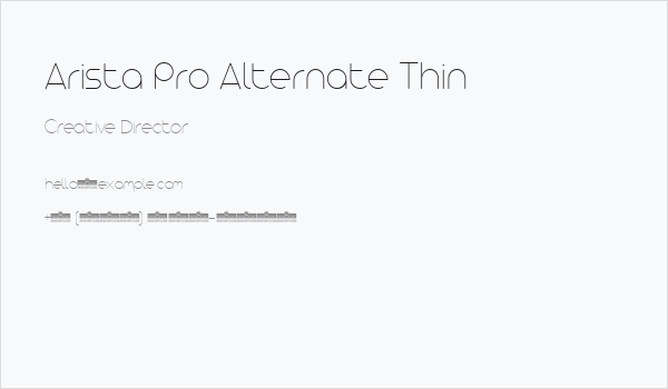 Arista Pro Alternate Thin Business Card