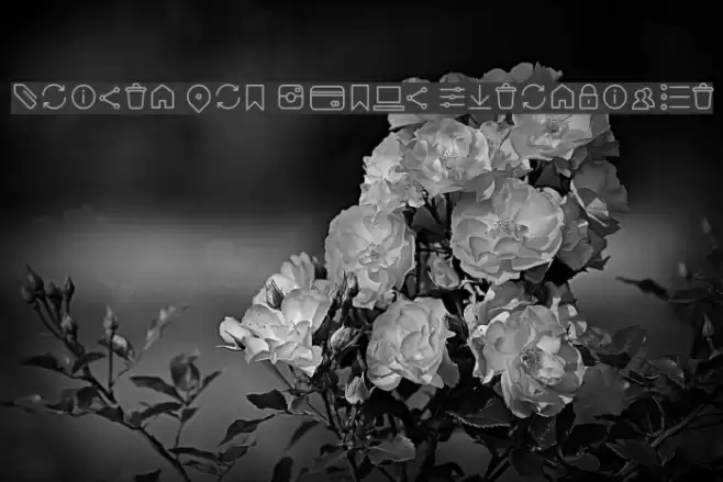 Arista Pro Icons ExtraLight Font examples