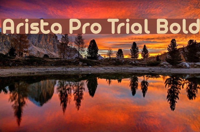 Arista Pro Trial Bold Font examples