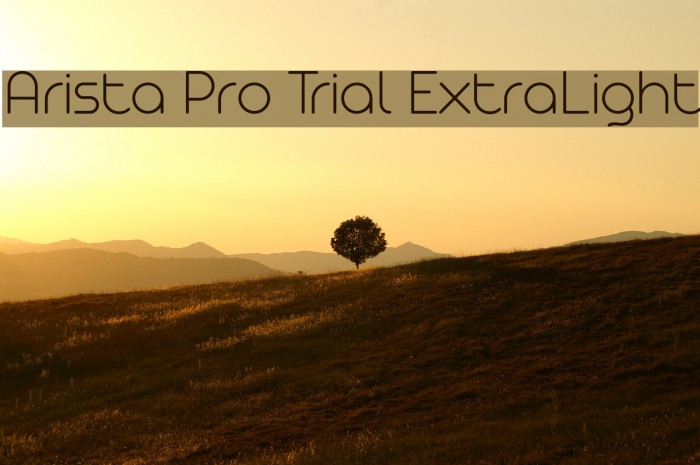 Arista Pro Trial ExtraLight Font examples