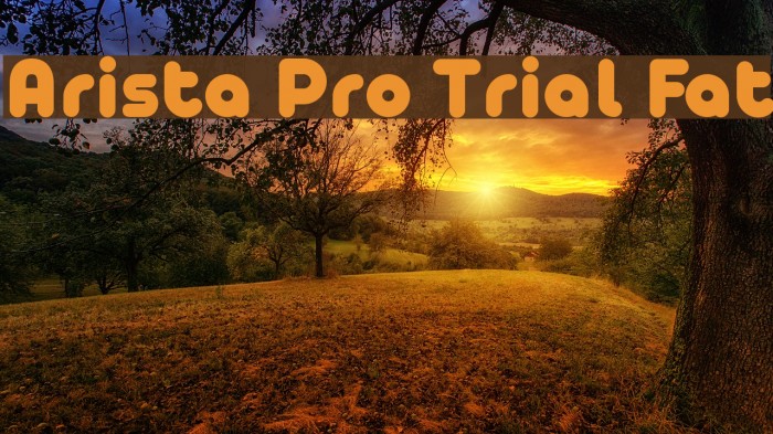 Arista Pro Trial Fat Font examples