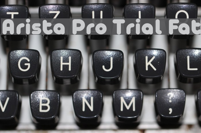 Arista Pro Trial Fat Font examples