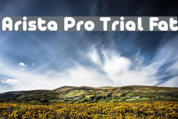 Arista Pro Trial Fat Font examples