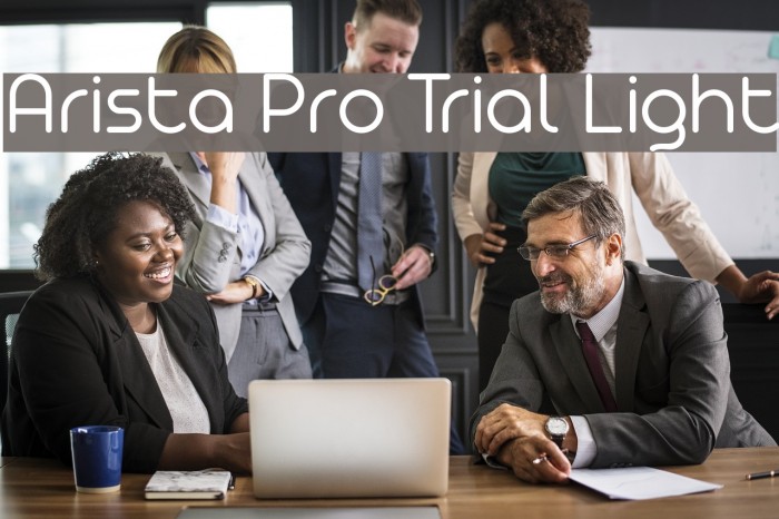 Arista Pro Trial Light Font examples