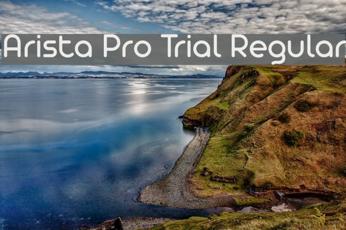 Arista Pro Trial Regular Font examples