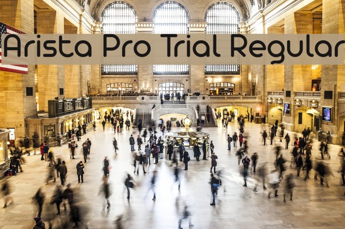 Arista Pro Trial Regular Font examples