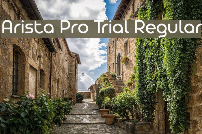 Arista Pro Trial Regular Font examples