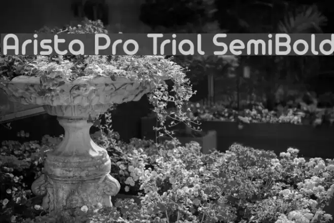 Arista Pro Trial SemiBold Font examples