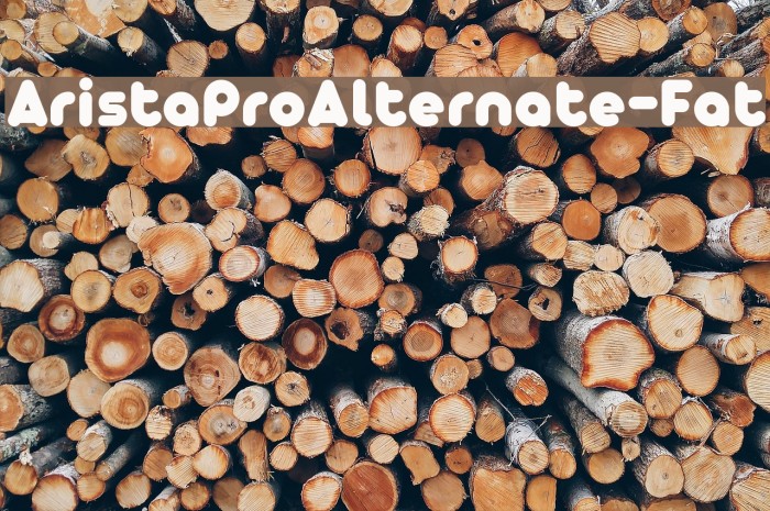 AristaProAlternate-Fat Example 1