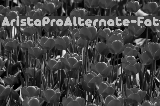 AristaProAlternate-Fat Font examples