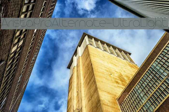 AristaProAlternate-UltraLight Example 1