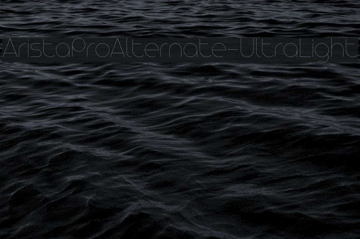 AristaProAlternate-UltraLight Example 2