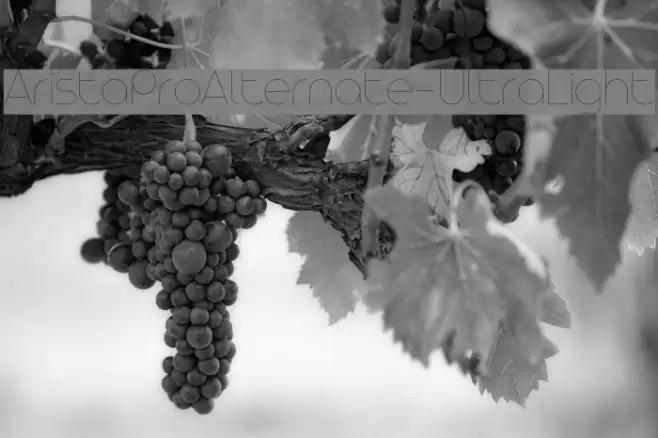 AristaProAlternate-UltraLight Font examples