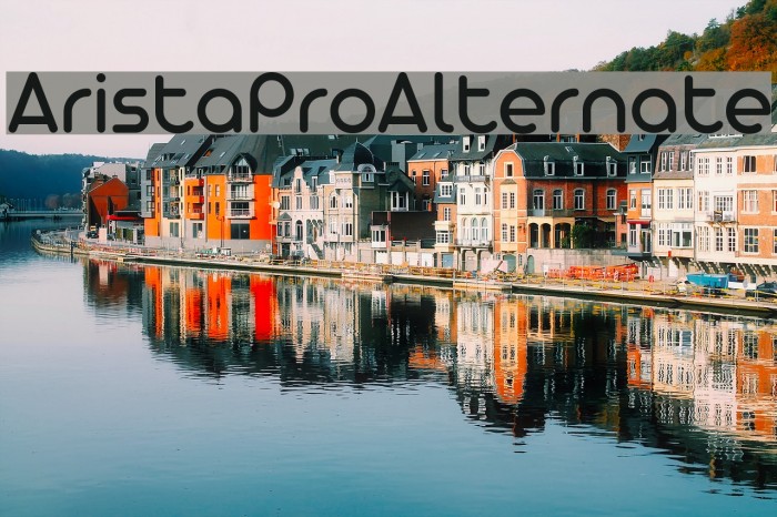 AristaProAlternate Example 2