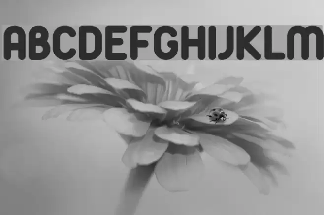 Arista Font examples