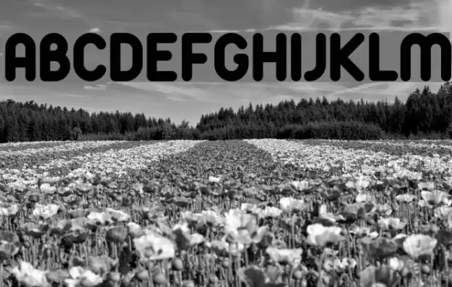 Arista Font examples