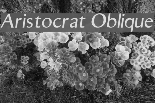 Aristocrat Oblique Font examples
