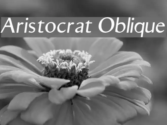 Aristocrat Oblique Font examples