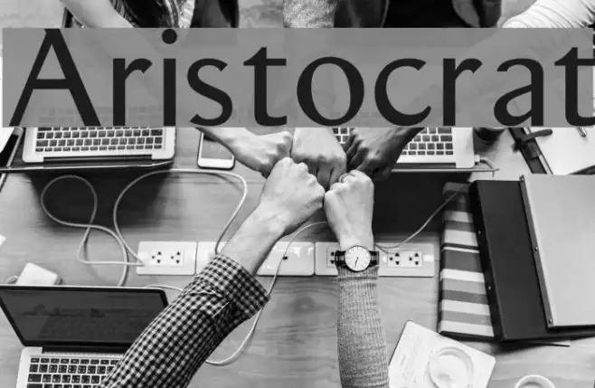 Aristocrat Example 1